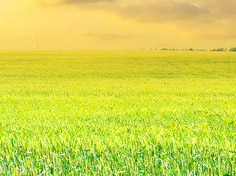 九游游戏下载基地展示1